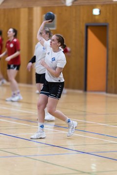 Bild 70 - F TSV Ellerau - HSG Tills Loewen 08 : Ergebnis: 16:18